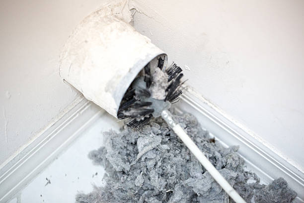 Best Commercial Air Duct Cleaning  in Reform, AL